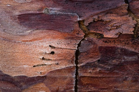 pine wood texture with a dark crack and holes close-up of a mysterious atmosphere background for a...
