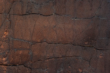 mysterious texture of dark brown cardboard with cracks grunge background for design