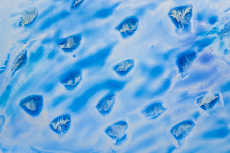 bright ice fragments flying from the mountain pattern of watercolor background for the design concept of winterの写真素材