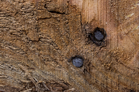 grunge texture of dark wooden boards with metal nails cracked and not smooth surface industrial background for designの写真素材