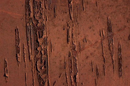 artistic and mysterious rust metal sheet exciting patterns background for design metalworking conceptの写真素材