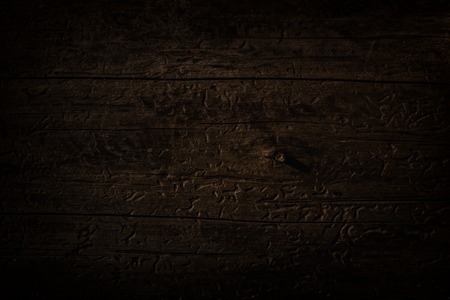 dark and mysterious gray wood texture bewitching alien patterns background for design environment conceptの写真素材