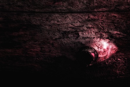 dark red texture old tree forest background for designの写真素材