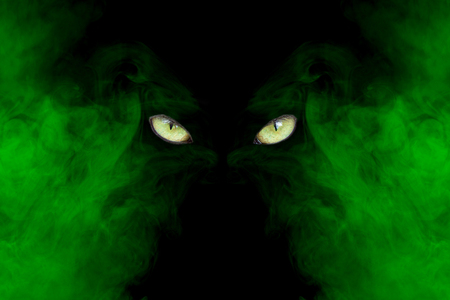 severe cat eyes and mystical clouds of green steam mysterious abstraction against a dark backgroundの写真素材