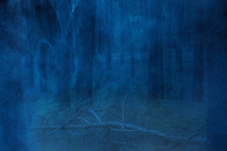fallen tree in the night pine forest with tall trees covered with a ghostly blue mist Wildlife concept nobody aroundの写真素材