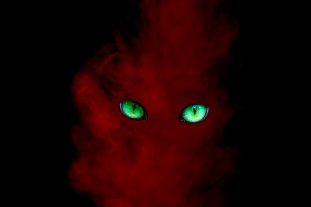 bright red ghost from a cigarette pair with shiny green eyes abstraction for design concept of mysteryの写真素材