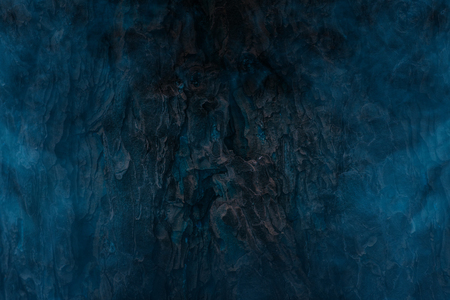 blue ghostly mist covers the staol of a tree a close-up mysterious and charming abstraction for a design concept of natureの写真素材