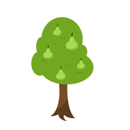 fruitful tree with ripe pears on white background harvest and fruit conceptのイラスト素材