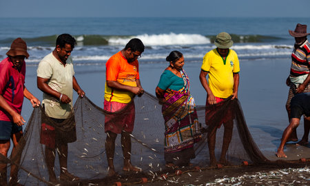 Morjim, North GOA, India, April 01 2016: Local fishermen are considering the catch. High quality...