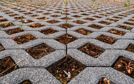 pattern of stone tiles lying on the ground with grass. High quality photo