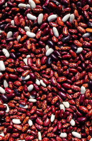 red beans laid out on the surface in an even layer. High quality photoの写真素材