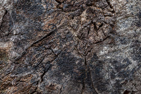 background in the form of a wooden old wooden surface. High quality photoの写真素材