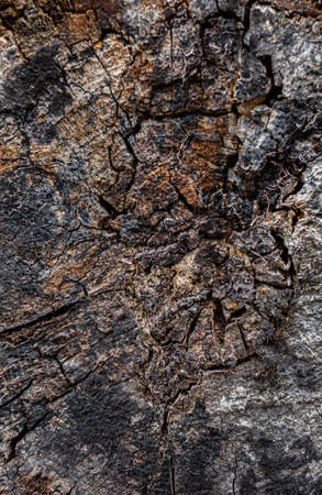 old and ugly wooden natural surface in dark colorの写真素材