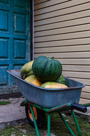 car with green and yellow pumpkins stands near the barn. High quality photo