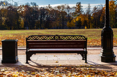 empty bench standing in an autumn park overlooking the field. High quality photoの写真素材