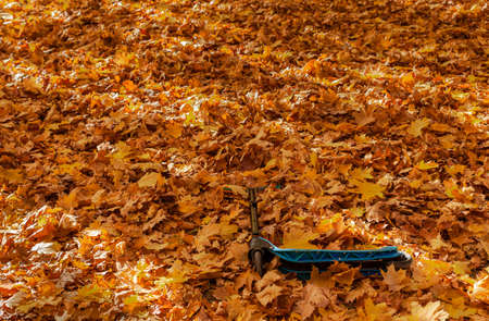 scooter lying in the autumn foliage. High quality photoの写真素材