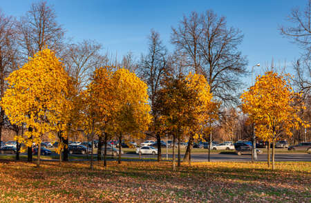 Moscow, Russia - November 06, 2021: carriageway near the park. High quality photoのeditorial素材
