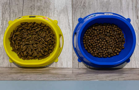 two bowls of cat food and water. High quality photoの写真素材