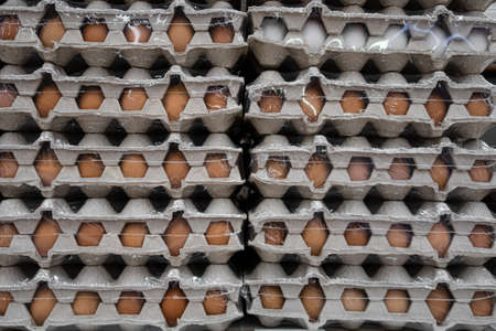 cardboard boxes with eggs standing on the rack. High quality photoの写真素材