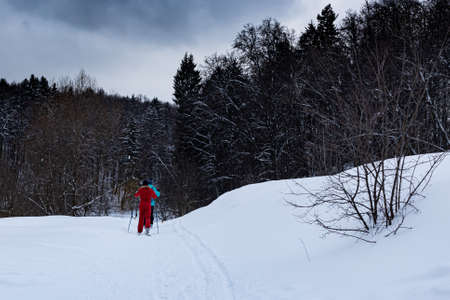 woman skiing in the park in winterの写真素材