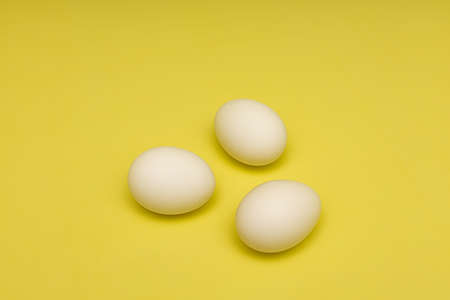 fresh egg in white shell on yellow background. high quality photoの写真素材
