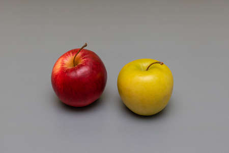 fresh apples of different colors on a gray background. high quality photo