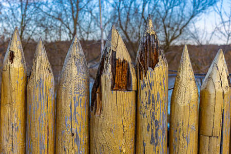 wooden fence in the form of sharpened wooden pencils. high quality photoの写真素材