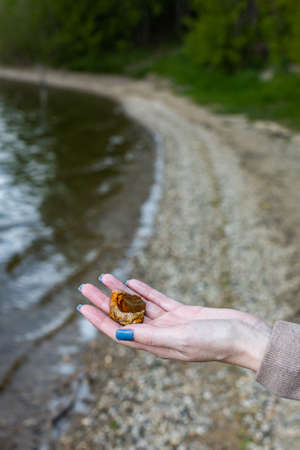 female hand holding a pebble standing on the shore. high quality photo