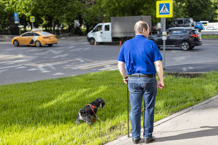 Moscow, Russia - June 04, 2022: man walking his dog in the city.のeditorial素材