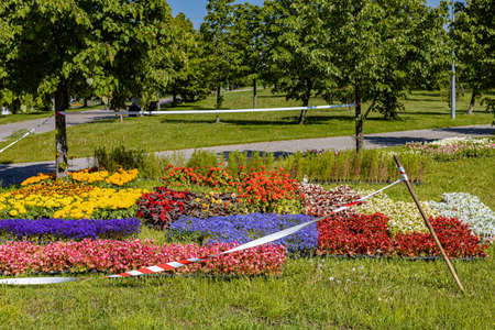 flower seedlings of various colors stand on the grass in the park. high quality photoの写真素材
