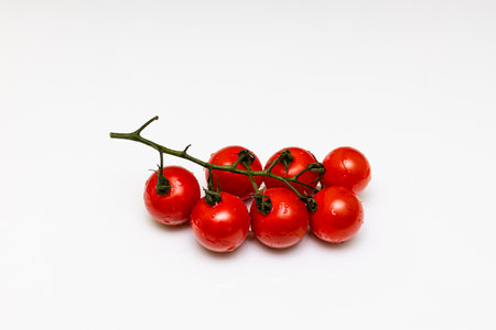 branch with red cherry tomatoes on white background. high quality photoの写真素材