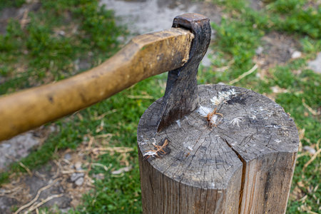 an ax stuck in a wooden chopping block for chopping chickens. high quality photo
