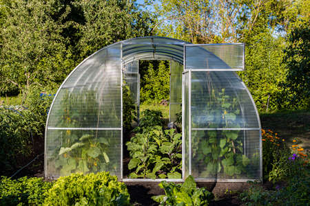 greenhouse with open door stands in the garden. high quality photo