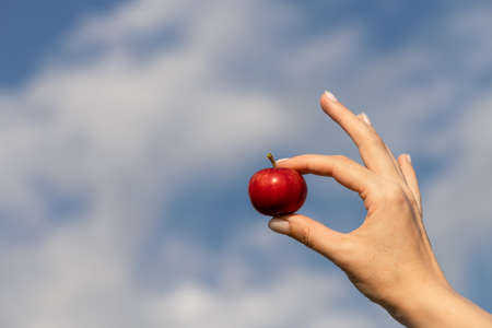 woman's hand holding a red apple against the sky. high quality photo
