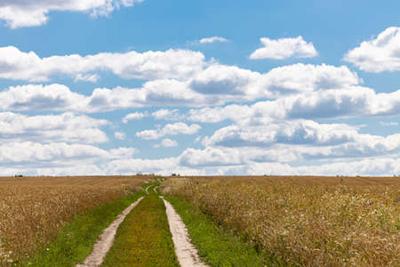 country road in a field in summer against the sky. high quality photoの写真素材