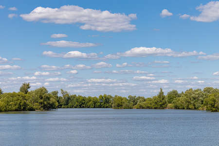 small lake against the backdrop of forest and blue sky. high quality photoの写真素材