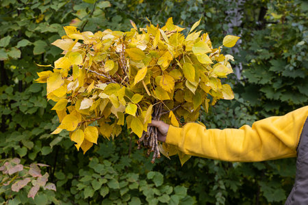 woman holding autumn leaves in her hand. . high quality photo