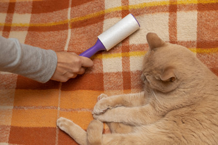 man cleans clothes with a roller from cat hair. cleaning clothes from woolの写真素材