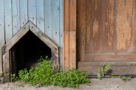 hole for the dog in the house. dog house entranceの写真素材