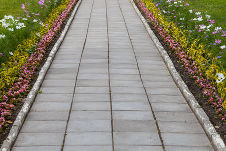 fragment of a tiled path in the park. Walking path in the parkの写真素材