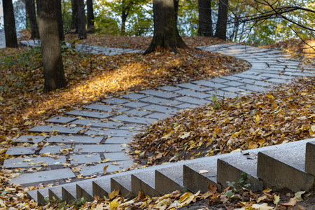 steps on the stairs in the autumn park. steps on the stairs