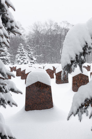 tombstone in a cemetery covered with snow in winter. monument in the cemetery.の写真素材