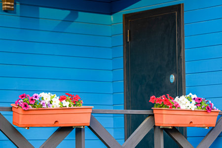 flower bed near the house in the village. flowerpot. growing flowersの写真素材