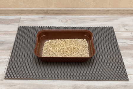 cat litter box is on the floor in the room. cat toilet.