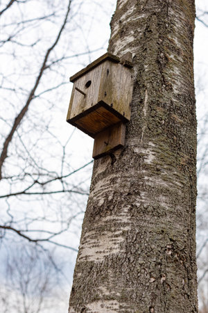 old wooden birdhouse hanging on a tree. birdhouse on a treeの写真素材