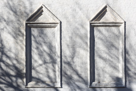 the shadow of the tree on the wall of the house with windows. house without windows. high quality...