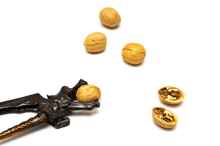 Walnut cracker photographed against a white background. Nutcracker isolate on whiteの写真素材