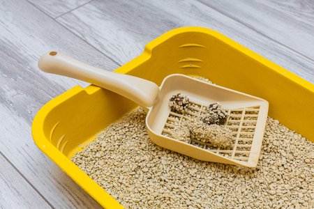 scoop for cleaning cat litter with waste. cat litter cleaning. pet wasteの写真素材