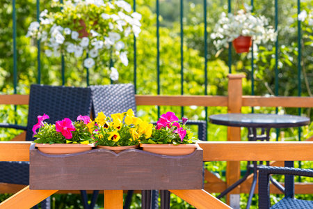 pot of flowers in a summer cafe. flower bed in a cafeの写真素材