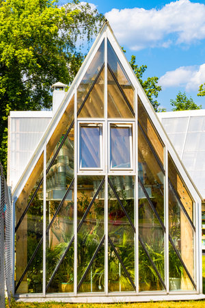 greenhouse glass building for growing fresh flowers. Greenhouse - an extension or building for growing plants, an artificial ecosystem. high quality photo